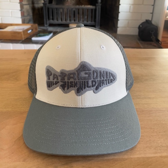 Patagonia Trucker Hat - Picture 1 of 2